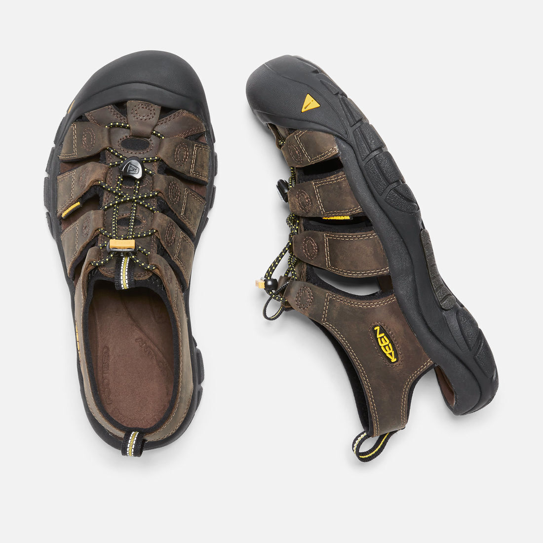 newport bison keen