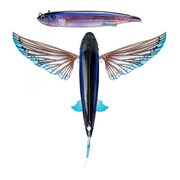 Nomad Design Slipstream Flying Fish 140 - 5.5” -  ULS - Ulysses